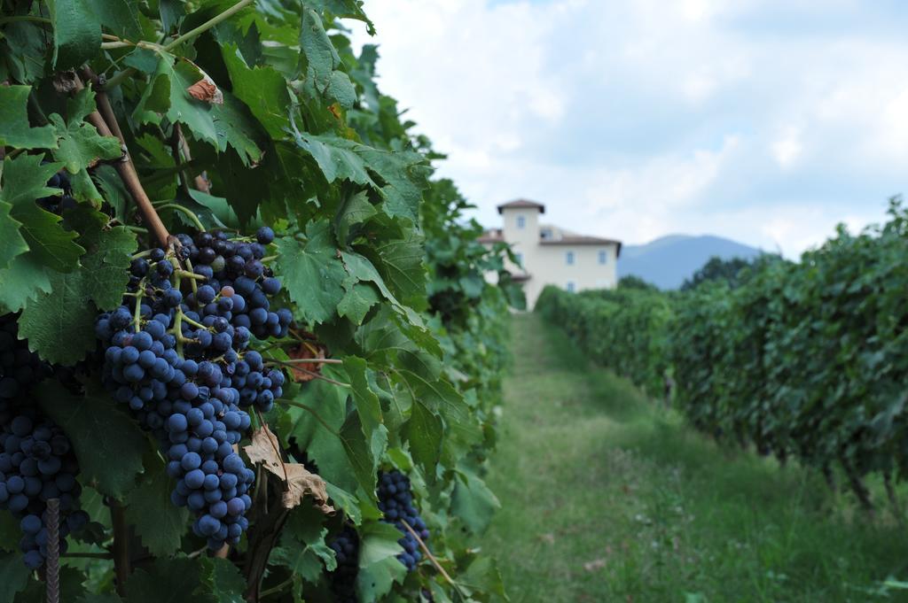 Cincinnato Wine Resort Cori Exteriör bild